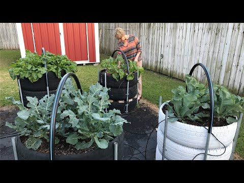 How to Build a Raised Bed Garden Out of Tires For Backyard Gardening