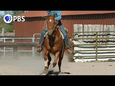 Why The Quarter Horse is Built For Speed