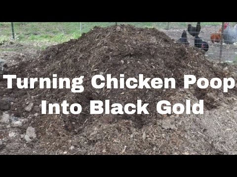 Composting Backyard Poultry Manure