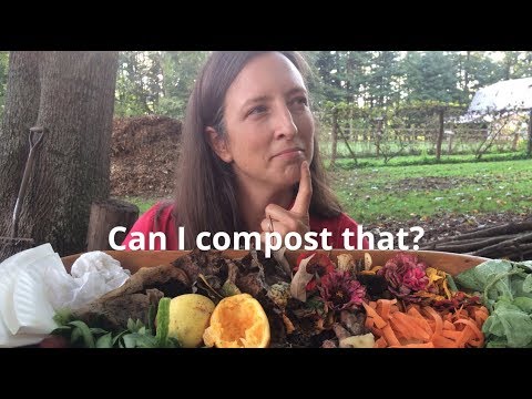 What can I put in my compost bin?