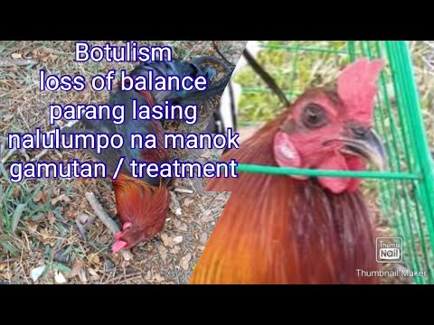 BOTULISM paralysis loss of balance chicken disease