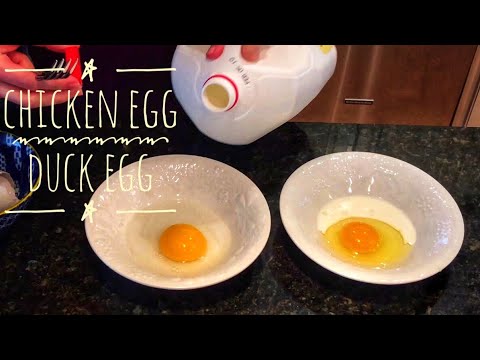 Chicken Egg vs Duck Egg: A Comparison