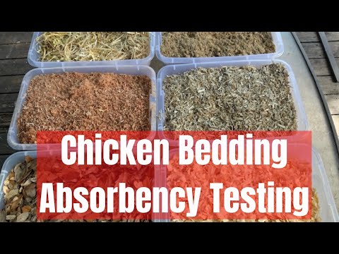 Chicken Bedding Absorbency Comparison Testing | Which type is most absorbent?