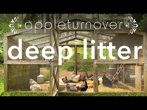 deep litter for healthy chickens and rich organic compost, on appleturnover farm