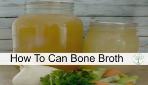 can bone broth post