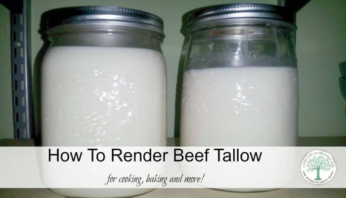 beef tallow post