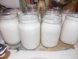 fill jars with milk