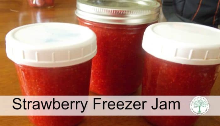 strawberry freezer jam post