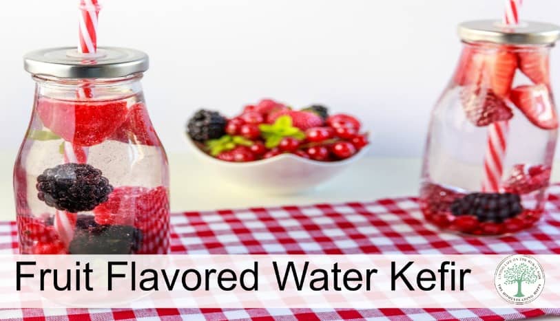 Water kefir is a probiotic drink that gets fizzy like pop.