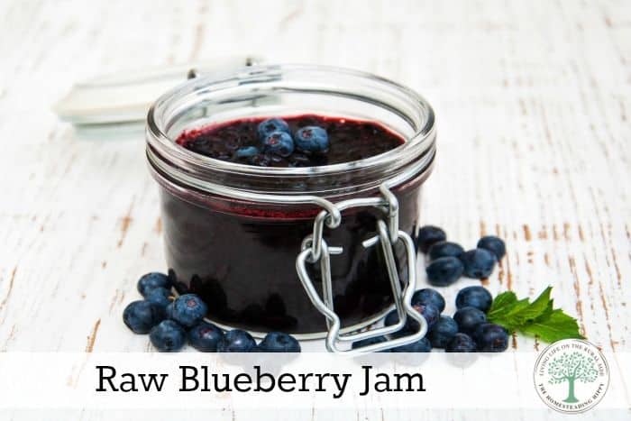 raw blueberry jam