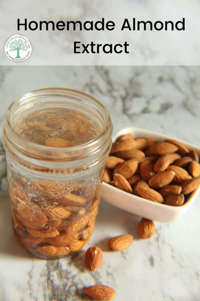 Homemade Almond Extract