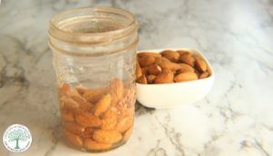 almond extract horizontal