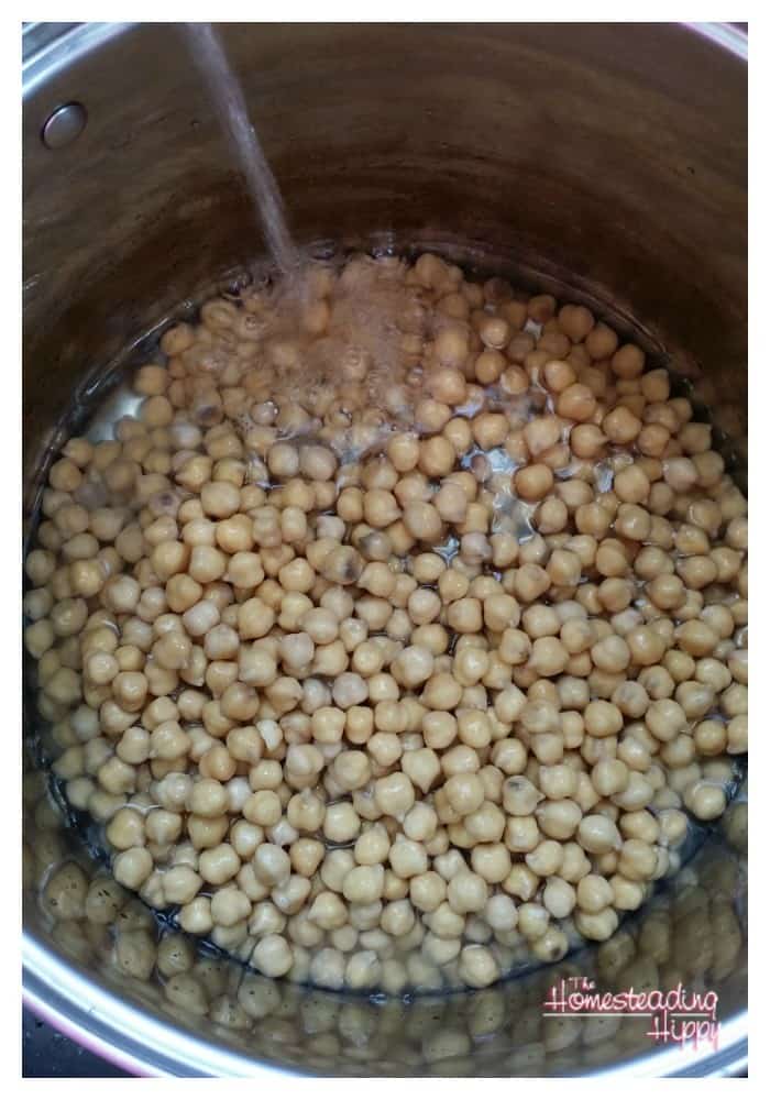 Love hummus like I do? Make it even healthier by sprouting the beans first! The Homesteading Hippy #homesteadhippy #fromthefarm #sprouted #recipes #hummus
