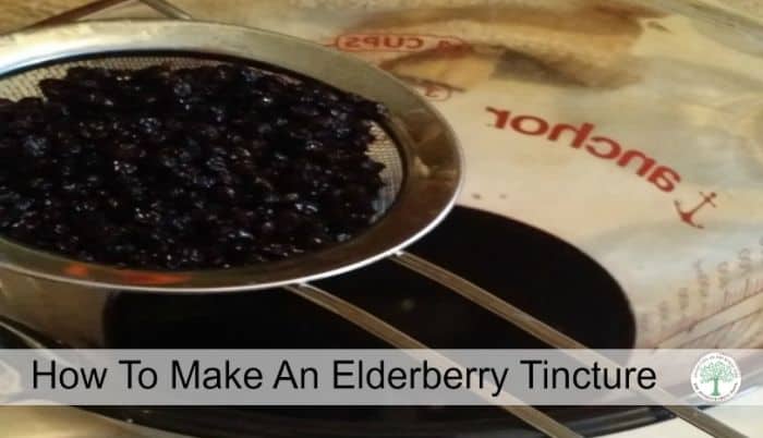 elderberry tincture post