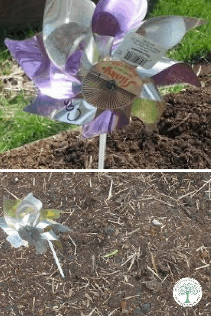 Are you wanting to keep birds and other animals out of your garden? Did you forget which row the carrots are? Here's how to use using pinwheels as garden markers to solve those problems!