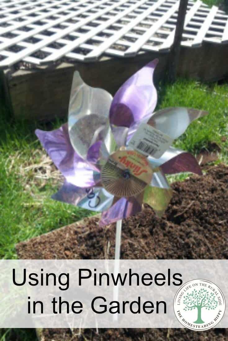 pinwheels pin image