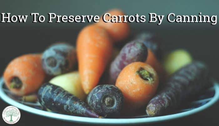 canning carrots post