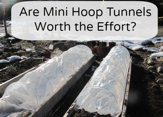 mini hoop tunnels