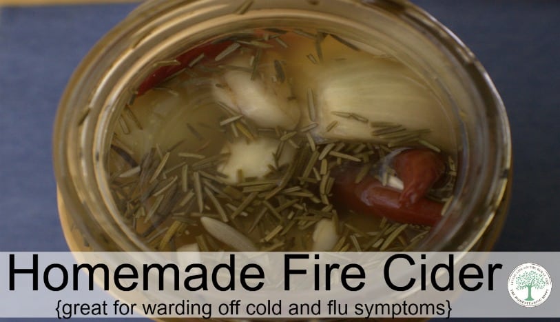 homemade fire cider featured image