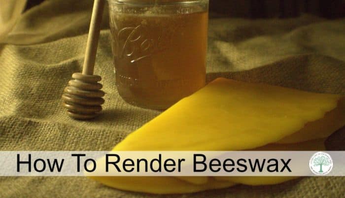 how to render beeswax
