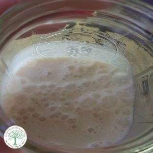 How Is Almond Milk Made-learn to make your own almond milk at home easily! The Homesteading Hippy