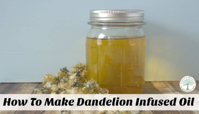 dandelion infused oil post