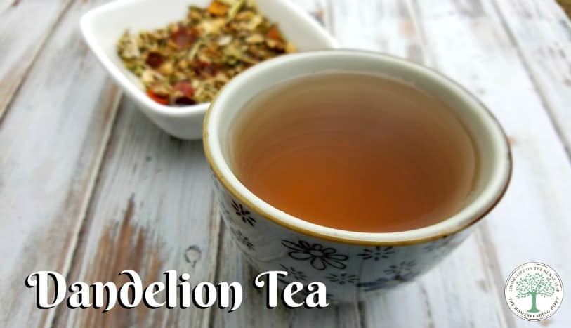 Make a delicious, liver supporting tea from all the weeds in your yard! Try this dandelion tea today! The Homesteading Hippy