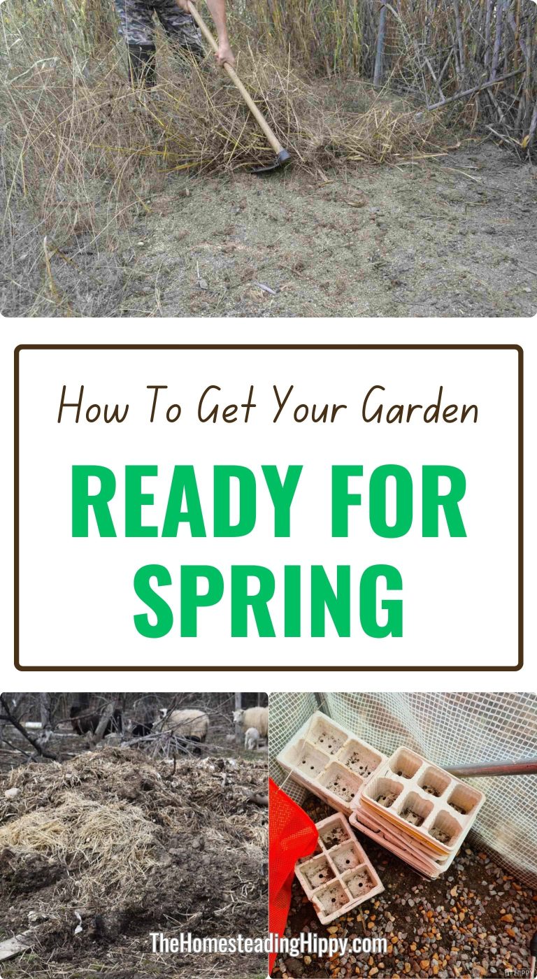How To Get Your Garden Ready For Spring Planting