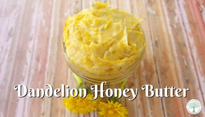 dandelion honey butter
