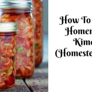 homemade kimchi post