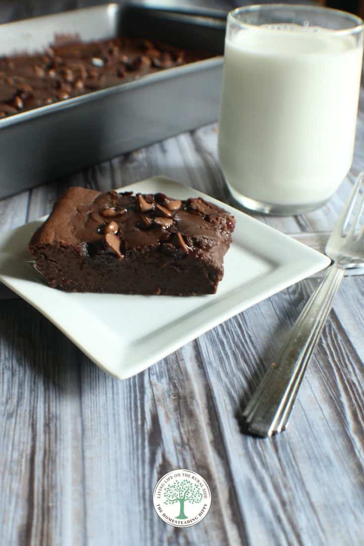 Black Bean Brownies with glass of milk