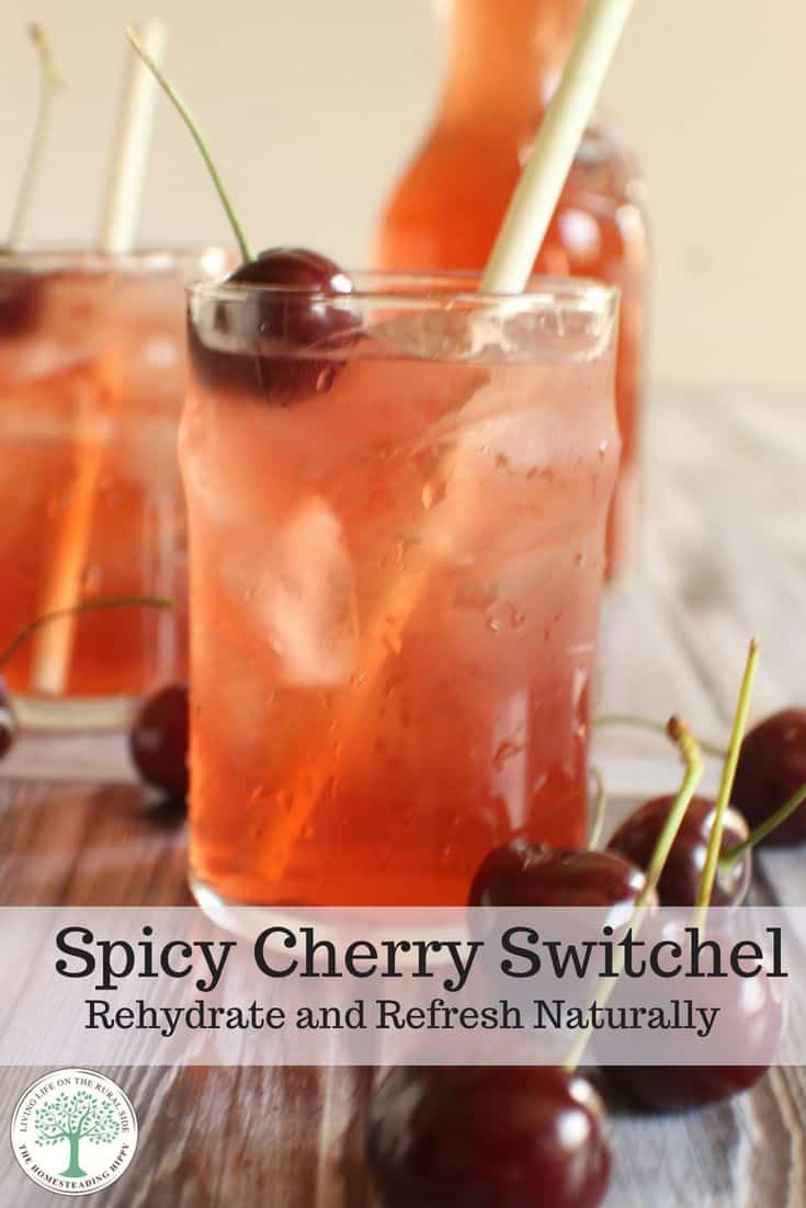 Spicy Cherry Switchel pinterest