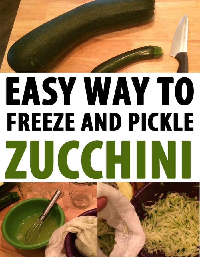 freezing pickling zucchini pin