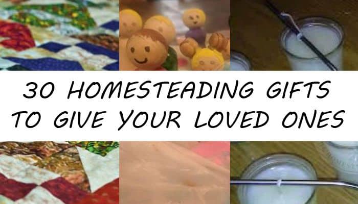 homesteading gifts post