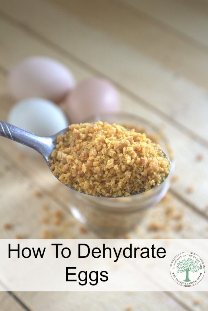 dehydrating eggs pinterest