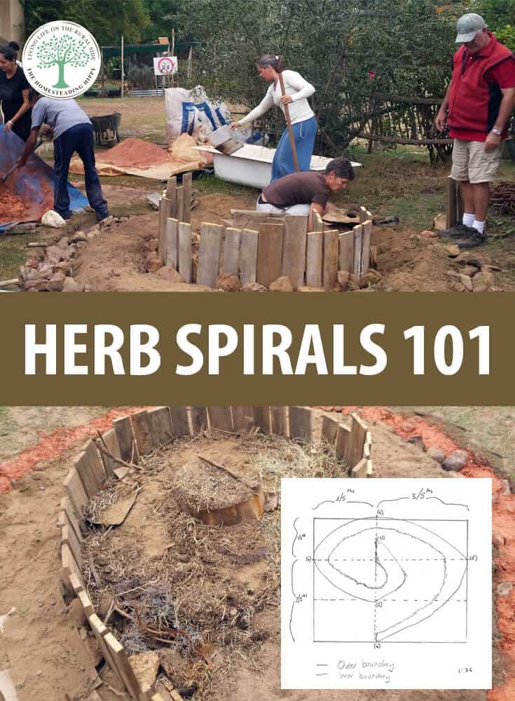 herb spirals 101 pins