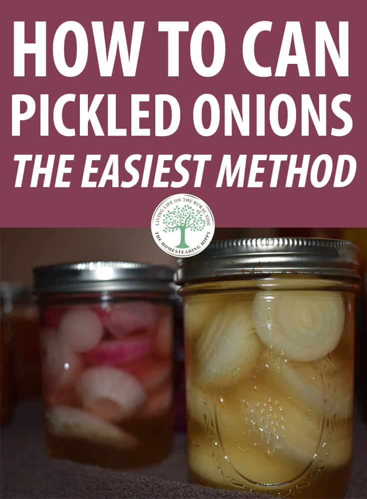 canning pickled onions pin