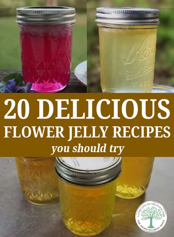 flower jelly recipes pin