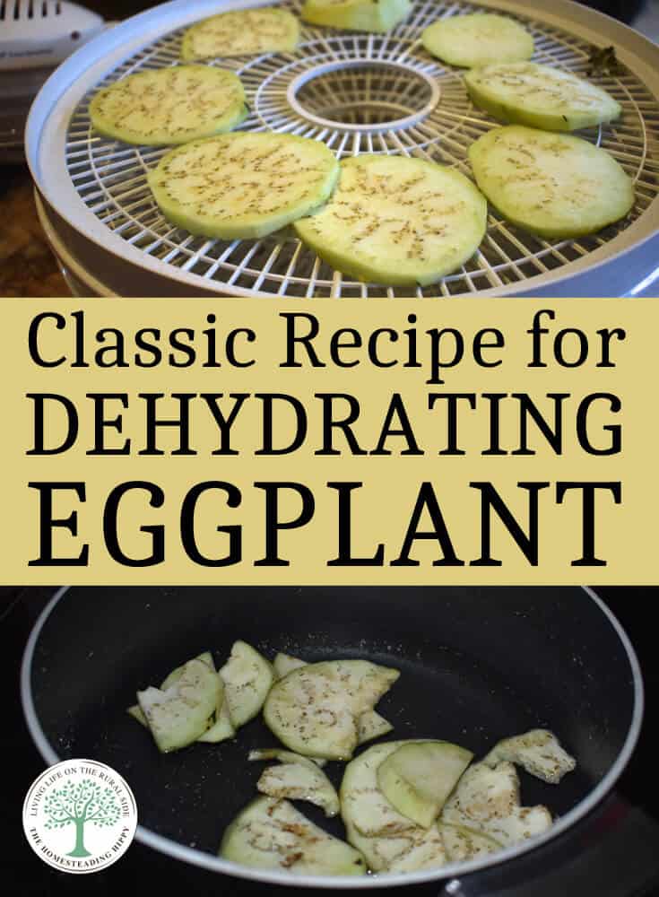 dehydrating eggplant recipe pin