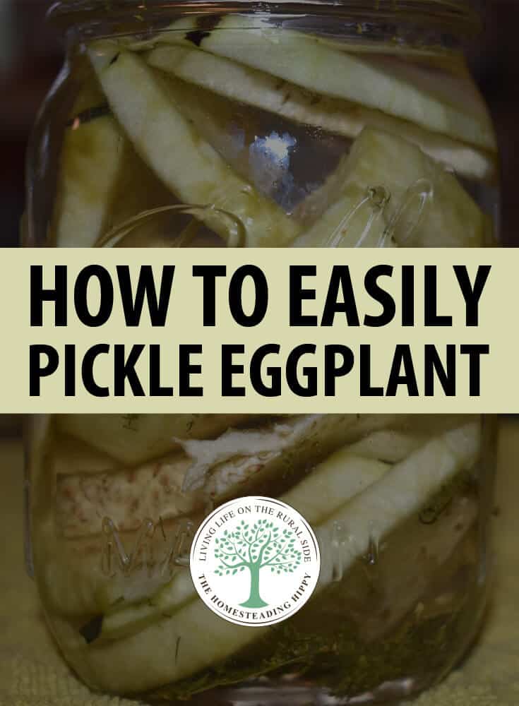eggplant pickling pin