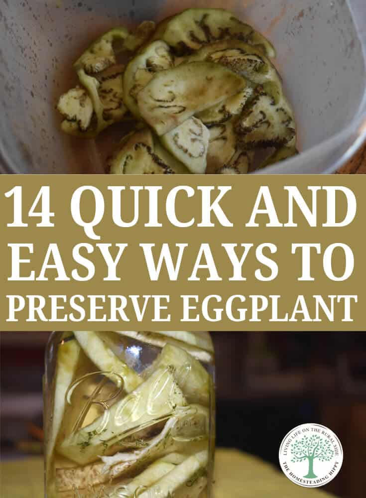 eggplant preservation pin