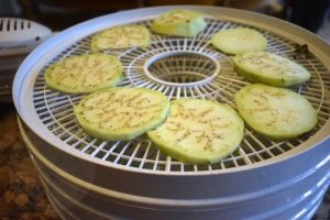 eggplant slices in dehydrator