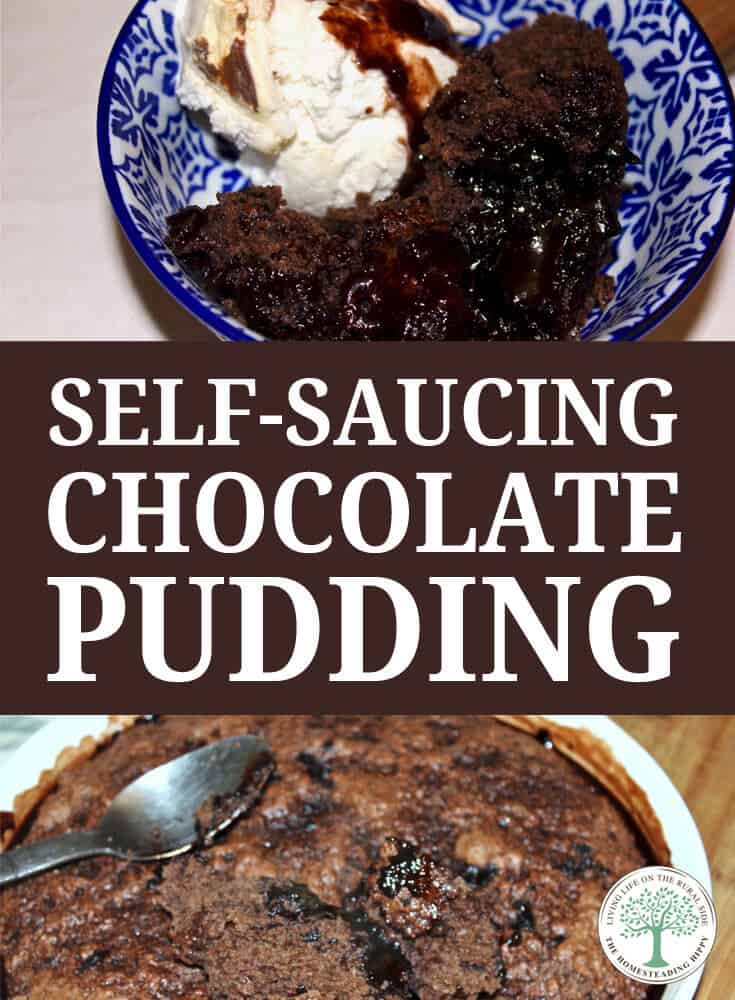 chocolate pudding recipe pin