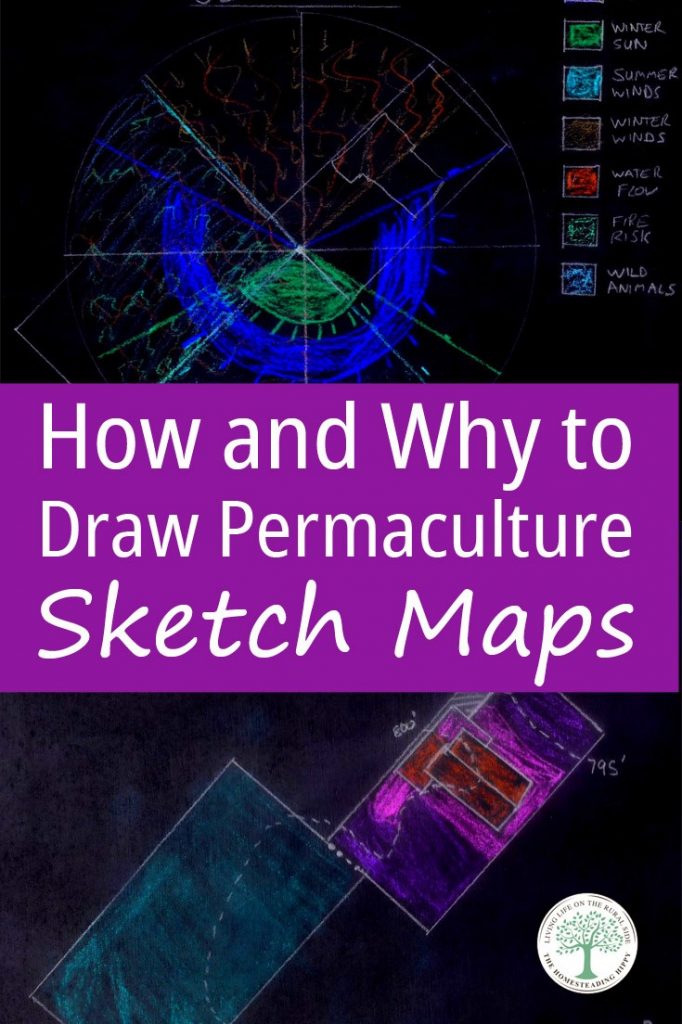 permaculture sketch marks pin