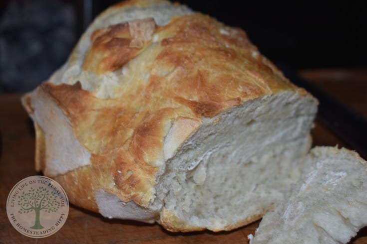 bread with sourdough starter