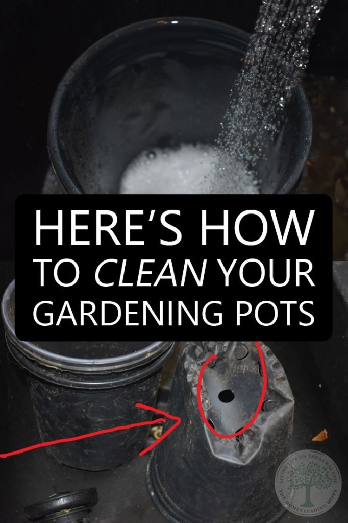 cleaning garden pots pin image