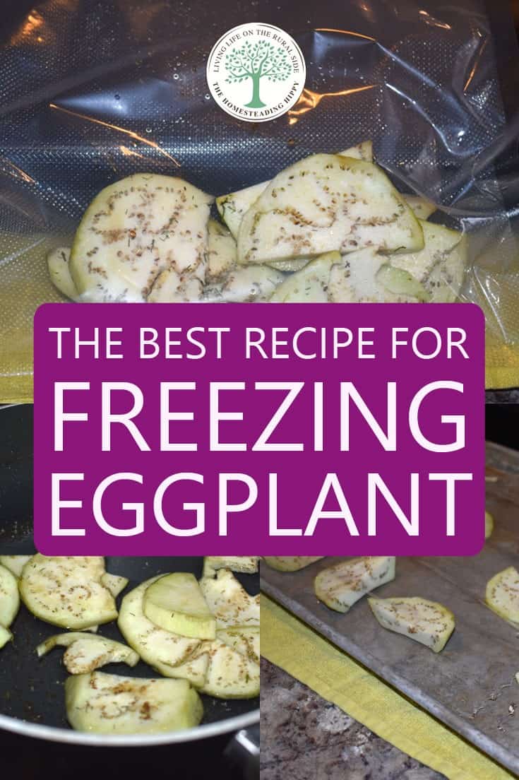 freezing eggplant pin