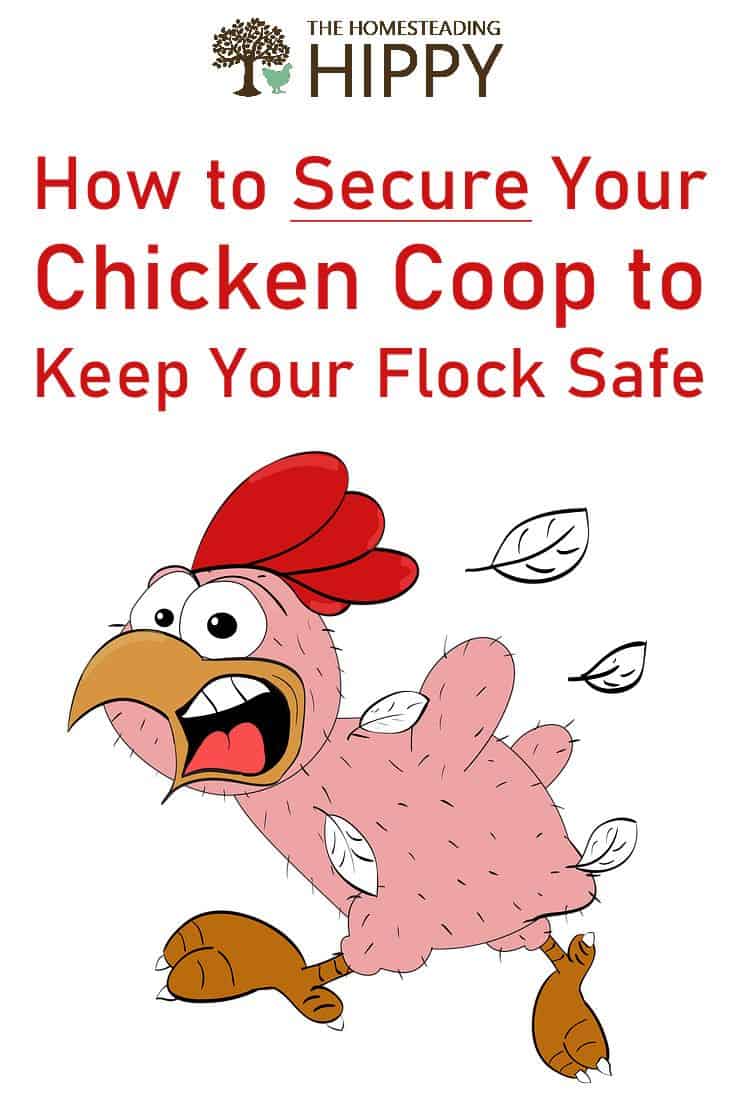 securing chicken coop pin