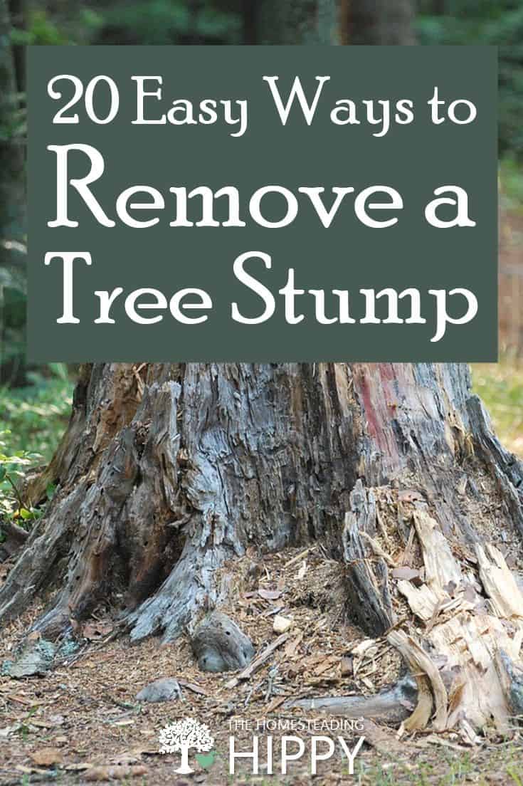 removing a tree stump pin