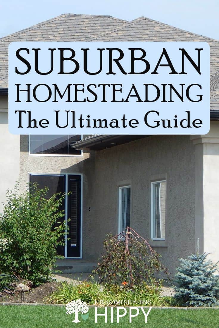 suburban homesteading pin